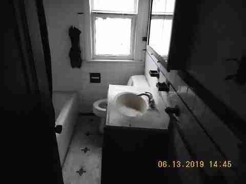 8266 Badger (13)_m.jpg